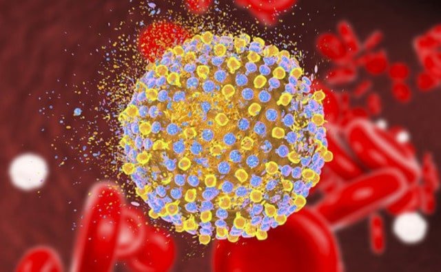CD4 là một tế bào cực kỳ quan trọng đối với hệ miễn dịch của cơ thể