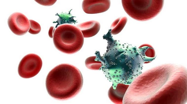 HIV tồn tại được bao lâu trong máu khô