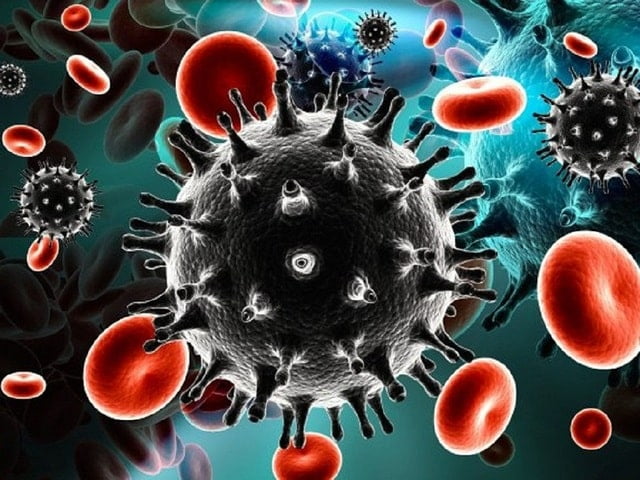 Virus HIV có nhiều gai nhú và những gai nhú này sẽ bám chặt vào các tế bào đích chứa thụ thể CD4 biến tế bào này thành nơi sản sinh virus HIV 