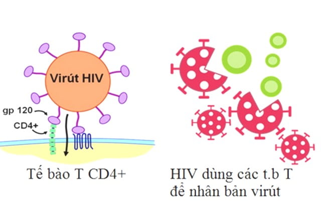 3 giai đoạn của HIV bạn nên biết