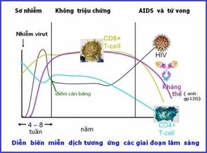 hiv-giai-doan-2-1