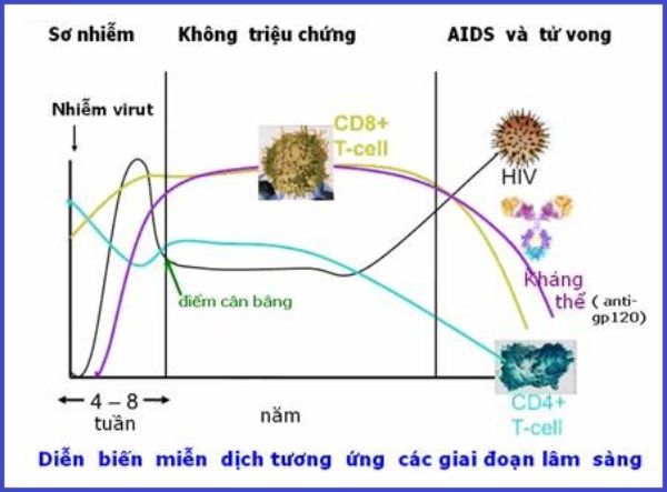 Giai đoạn 2 HIV có triệu chứng gì?