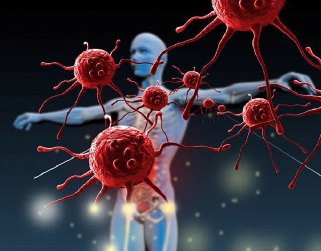 Virus HIV khi xâm nhập vào cơ thể sẽ phá hoại hệ miễn dịch