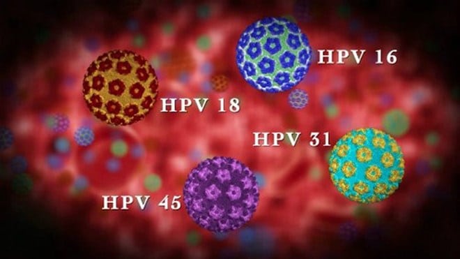 Các chủng HPV sùi mào gà phổ biến nhất