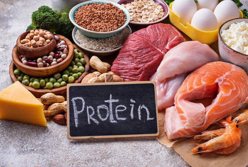 Thực phẩm giàu protein bổ sung sức đề kháng và hệ miễn dịch cho cơ thể