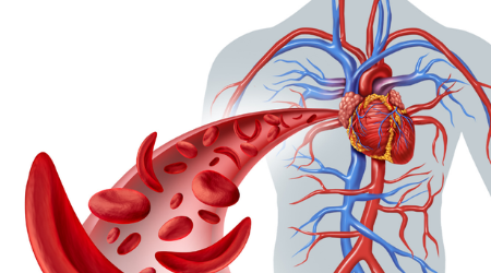 Lợi ích của Thủ dâm giúp cải thiện sức khỏe tim mạch