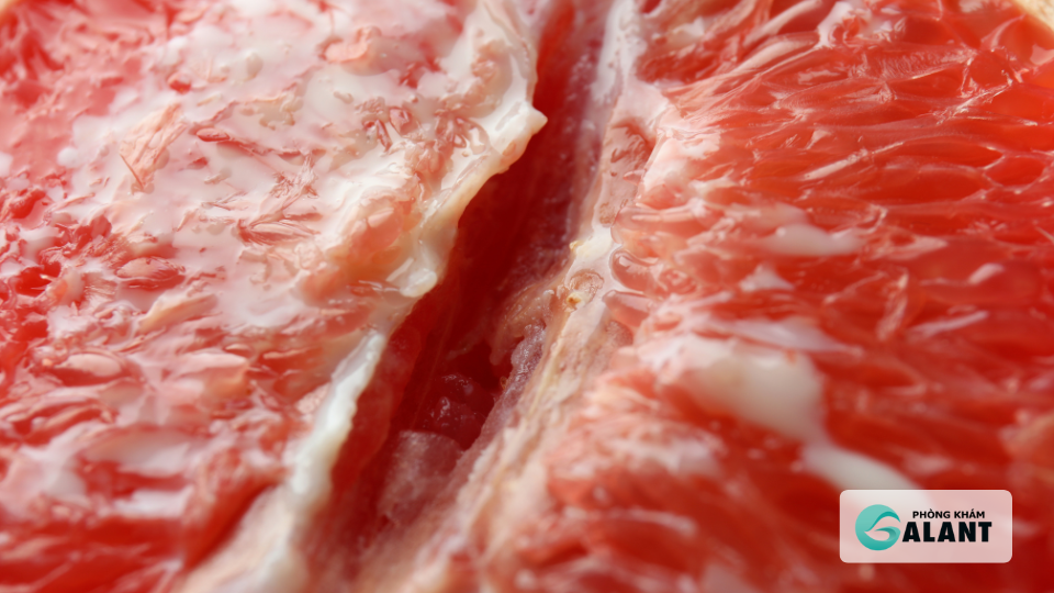 sùi mào gà tiết dịch là gì