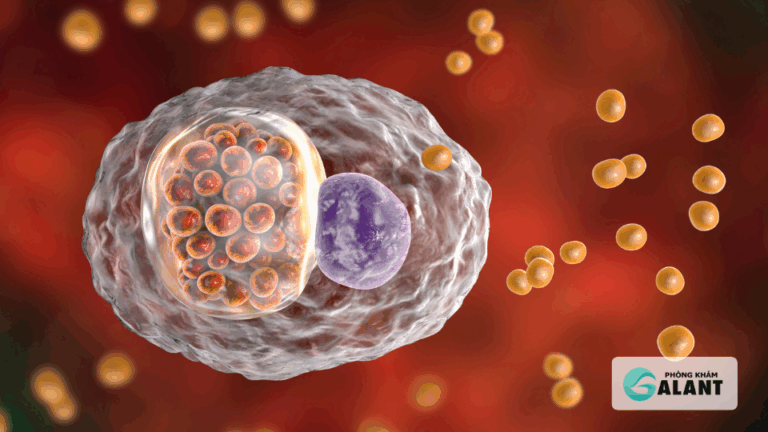 vi khuẩn Chlamydia