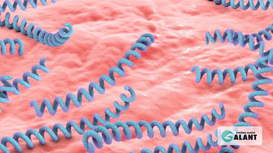 Phác đồ Điều trị giang mai bằng Penicillin