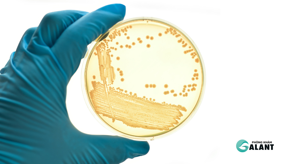 Xét nghiệm bệnh lậu: Phương pháp và quy trình chính xác hiện nay